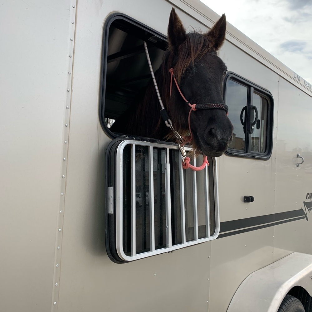 Meet your Posher, Sabrina